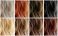 40 رنگ‌ مو لاکچری، پرطرفدار و جدید که در سال 1403-2024  ترند شدند.
